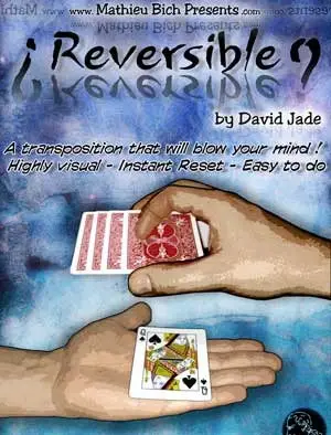 REVERSIBLE de David Jade